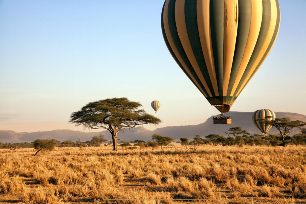 Go Tell World Exposures Serengeti Package (2)