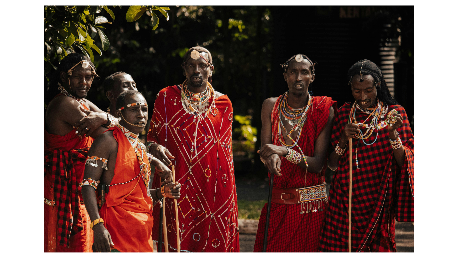 Maasai culture