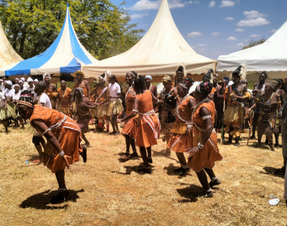 kikuyu